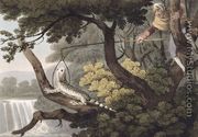 Mexican Lizard Catcher, 1813 - John Heaviside Clark (after)