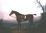 Portrait of a Race Horse - Daniel Clowes