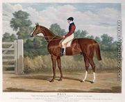 'Elis', the Winner of the Great St. Leger Stakes at Doncaster, 1836 - John Frederick Herring Snr