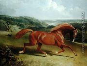 Galloping Horse in a Landscape - John Frederick Herring Snr