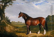 A Clydesdale Stallion, 1820 - John Frederick Herring Snr