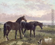 Two horses grazing at sunset - John Frederick Herring Snr