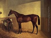 'The Merry Monarch', a bay racehorse, in a loosebox - John Frederick Herring Snr