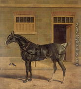 A Carriage Horse in a Stable Yard - John Frederick Herring Snr