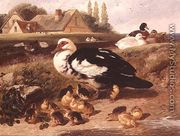 Ducks and Ducklings - John Frederick Herring, Jnr.