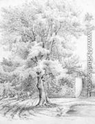 Sketch of an ash tree at Duffryn - Lucy Angeline Bacon