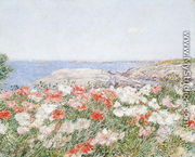 Poppies on the Isles of Shoals, 1890 - Childe Hassam