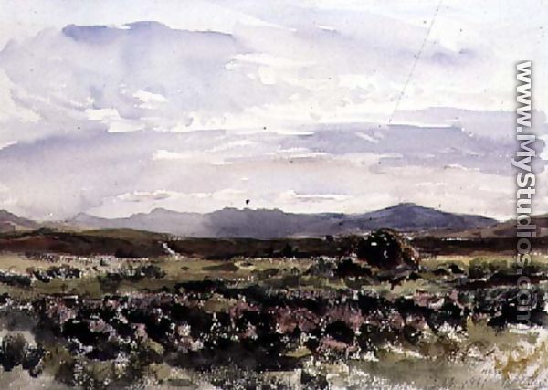 On the Hills, Dolwyddelan, North Wales - Thomas Collier