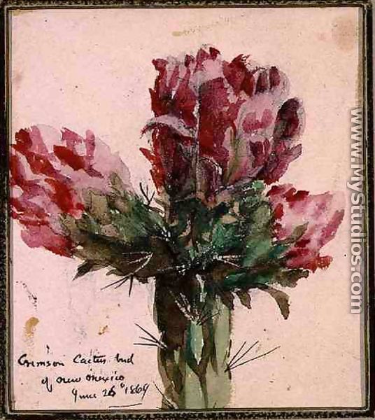 Crimson Cactus Bud of New Mexico, 1869 - Vincent Colyer