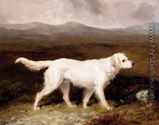 Charles Brett's White English Setter, Sam in a Moorland Landscape, 1836 - Abraham Cooper