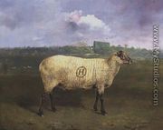A Prize Ewe with monogram H belonging to Mr J.A. Houblon  Hallingbury Place  Essex  1812 - Abraham Cooper