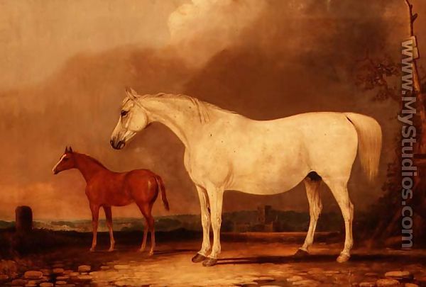 Old Bald Peg, a grey mare with foal - Edwin Cooper