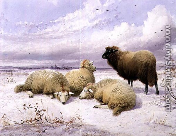 Sheep in the Snow - Thomas Sidney Cooper