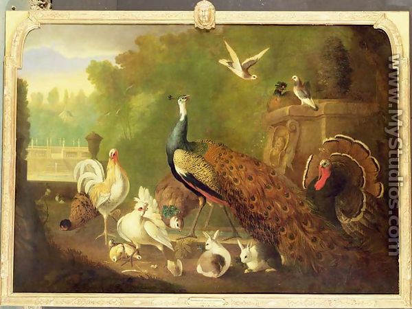 A peacock, turkey and other birds in an ornamental garden - Marmaduke Craddock