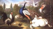 A Peacock, Turkey, Hen, Cockerel and Dove by a River - Marmaduke Craddock