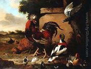 Cockerel with Ducks, Ducklings and Pigeon - Marmaduke Craddock