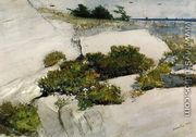 Maine Cliffs - Winslow Homer