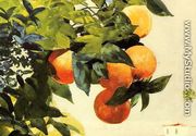 Oranges on a Branch - Winslow Homer