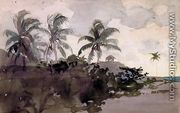 Coconut Palms - Winslow Homer