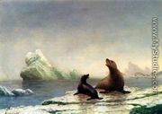 Seals - Albert Bierstadt