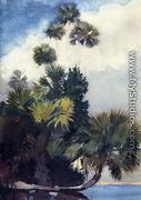 Palm Trees, Florida - Winslow Homer