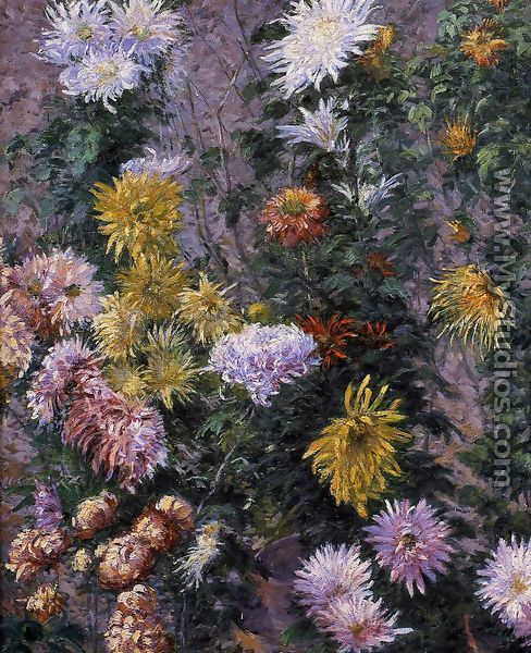 White and Yellow Chrysanthemums, Garden at Petit Gennevilliers - Gustave Caillebotte