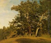 Fountainebleau - Aux Georges d'Apremont - Jean-Baptiste-Camille Corot