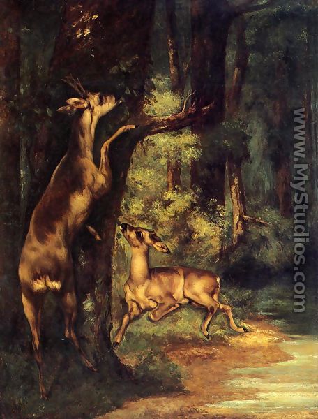 Male and Female Deer in the Woods - Gustave Courbet