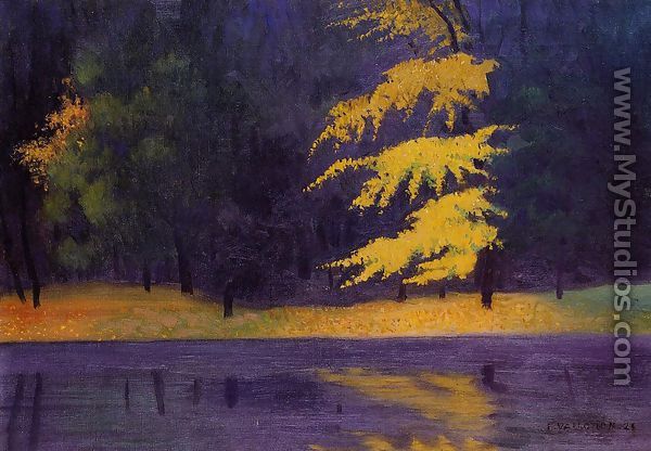 The Lake in the Bois de Boulogne - Felix Edouard Vallotton