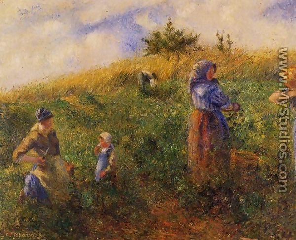 Picking Peas - Camille Pissarro