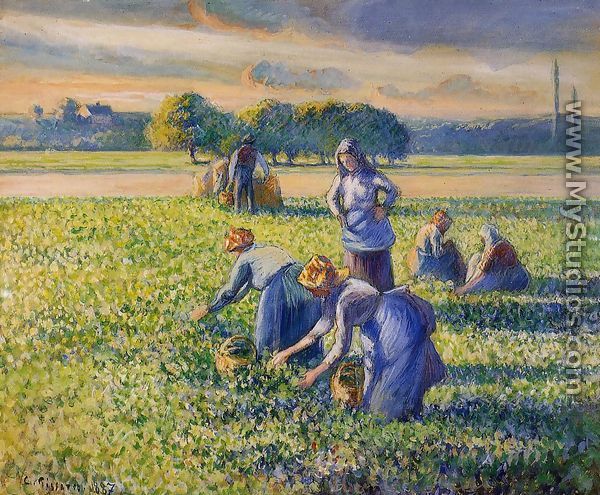 Picking Peas I - Camille Pissarro