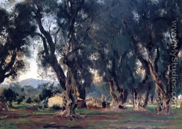 Olive Trees at Corfu - John Singer Sargent