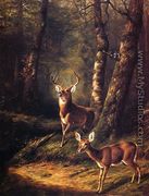 The Forest: Adirondacks - Arthur Fitzwilliam Tait