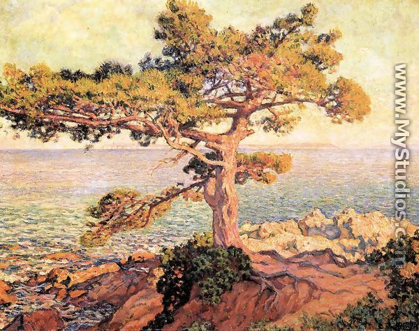 Pine by the Mediterranean Sea - Theo van Rysselberghe