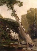 Sycamore, Catskill Clove, Below Haines Falls - John Williamson