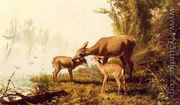 Deer in the Woods - Arthur Fitzwilliam Tait
