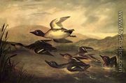 Wild Ducks Rising - John Woodhouse Audubon