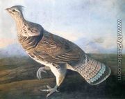 Ruffed Grouse - John James Audubon