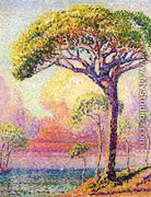 A Pine Tree - Henri Edmond Cross