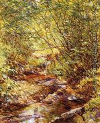 A Woodland Stream - Robert Reid