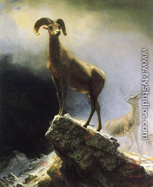 Rocky Mountain Sheep - Albert Bierstadt