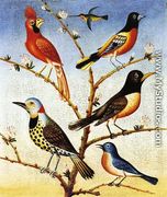 Humming Bird, Red Bird, Baltimore Bird, Robbin, Flicker, Blue Bird - Thomas Ruckle