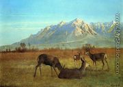 Deer in a Mountain Home - Albert Bierstadt