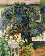 Tree by the River - Pierre Bonnard