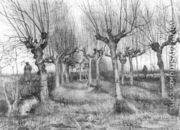 Pollard Birches - Vincent Van Gogh