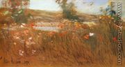 Poppies, Isles of Shoals III - Frederick Childe Hassam
