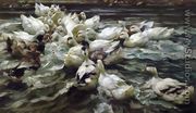 Ducks in a Pond - Alexander Max Koester