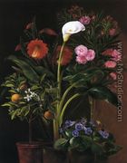 Still Life with Streptocarpus, Oleander, Calla Lily, Cactus Flowers and and Orange Tree - Louise Garlieb