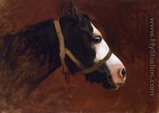 Profile of a Horse - Jean-Léon Gérôme