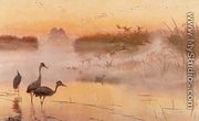 Dawn. The Kingdom of Birds - Jozef Chelmonski